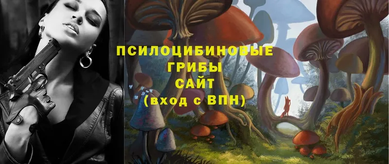 OMG маркетплейс  даркнет формула  Боготол  Галлюциногенные грибы Magic Shrooms  купить наркоту 